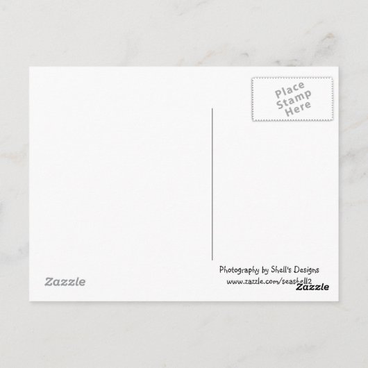 Cacoaboom Briefkaart (Achterkant)