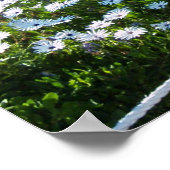 CACTI BIJ ROSARITO BEACH MEXICO POSTER (Hoek)