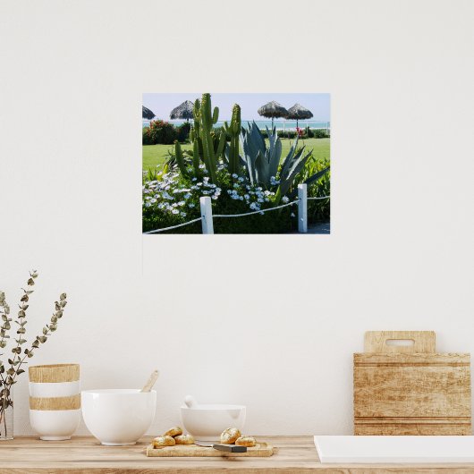 CACTI BIJ ROSARITO BEACH MEXICO POSTER (Keuken)