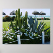 CACTI BIJ ROSARITO BEACH MEXICO POSTER (Voorkant)