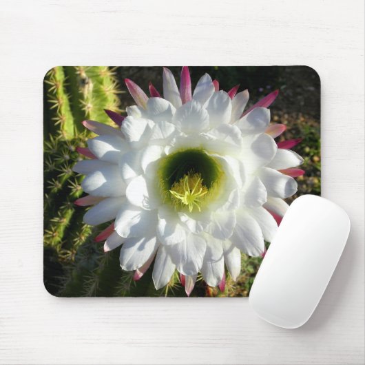 Cacti Bloom Muismat (Met muis)