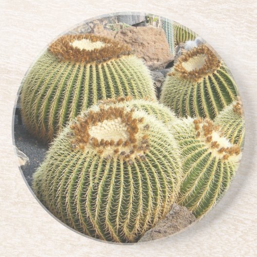 Cacti-coaster Zandsteen Onderzetter (Voorkant)