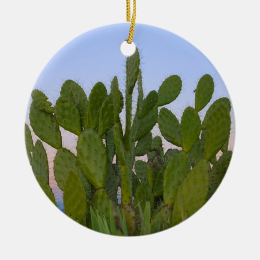 Cacti en sisal in het droge bos keramisch ornament (Voorkant)