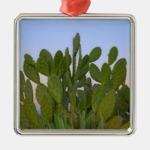 Cacti en sisal in het droge bos metalen ornament