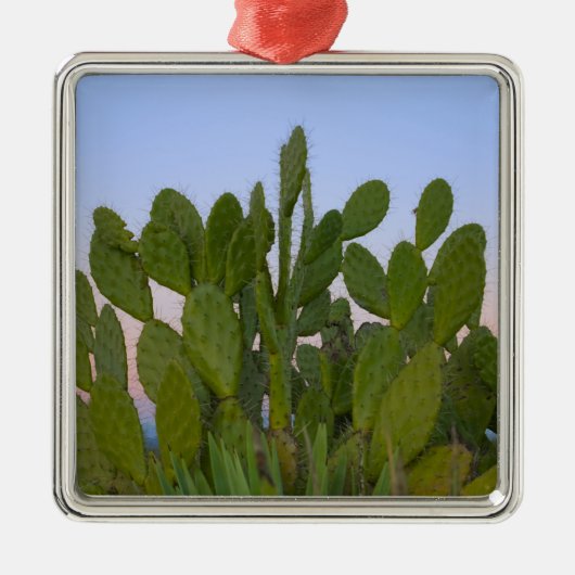 Cacti en sisal in het droge bos metalen ornament (Voorkant)