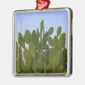 Cacti en sisal in het droge bos metalen ornament (Links)