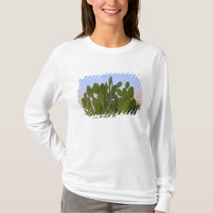 Cacti en sisal in het droge bos t-shirt
