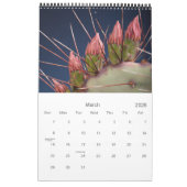 Cacti en Succulenten Kalender (Mar 2026)