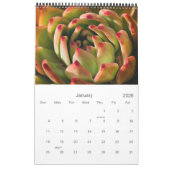 Cacti en Succulenten Kalender (Jan 2026)