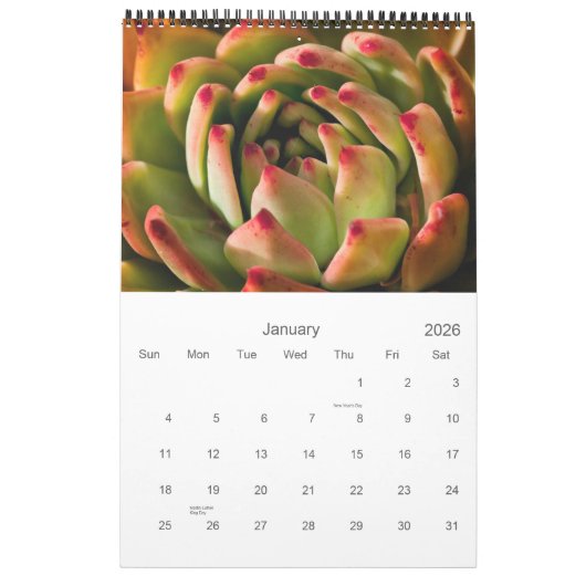 Cacti en Succulenten Kalender (Jan 2026)
