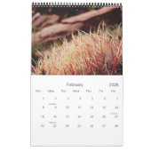 Cacti en Succulenten Kalender (Feb 2026)