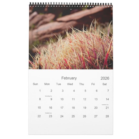 Cacti en Succulenten Kalender (Feb 2026)