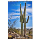 Cacti en Succulenten Kalender (Hoes)