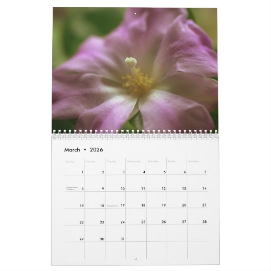 Cacti Flowers Kalender (Mar 2026)
