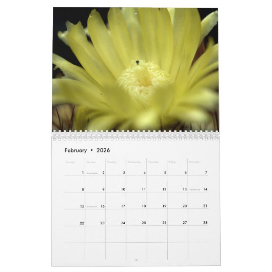 Cacti Flowers Kalender (Feb 2026)