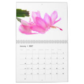 Cacti Flowers Kalender (Jan 2027)