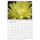 Cacti Flowers Kalender (Feb 2027)