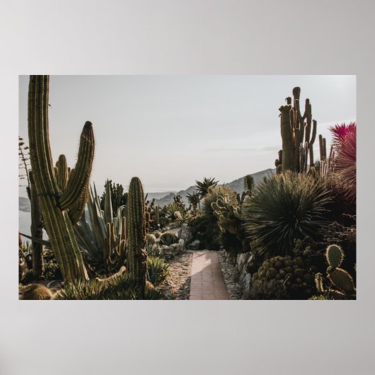 CACTI HILL POSTER (Voorkant)