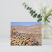 Cacti in de Atacama woestijn, Chili Briefkaart (Staand voorkant)
