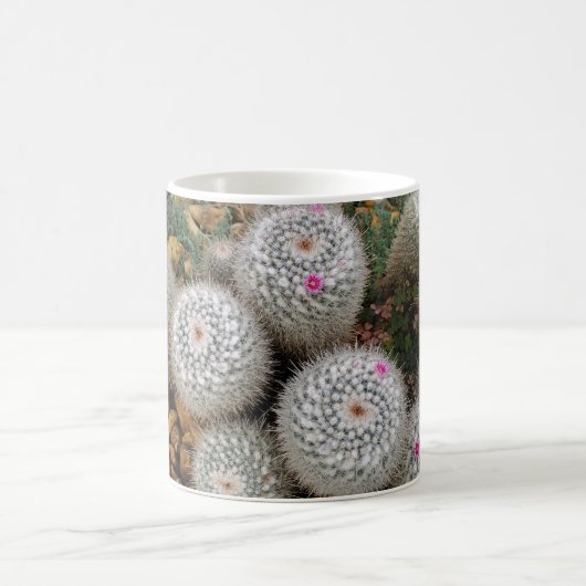 Cacti Koffiemok (Center)