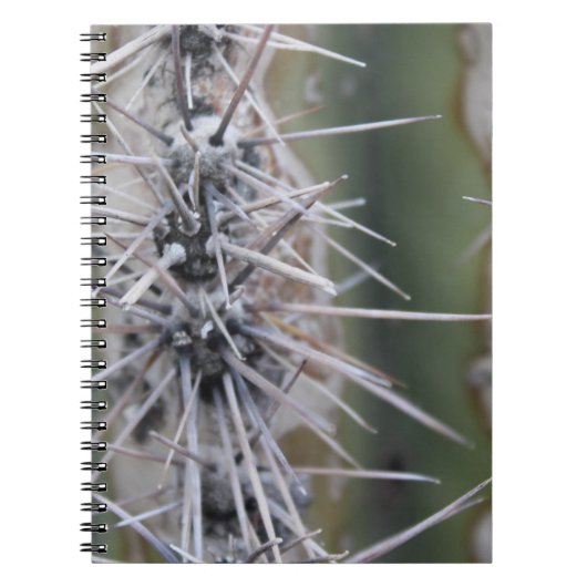Cacti-laptop Notitieboek (Voorkant)