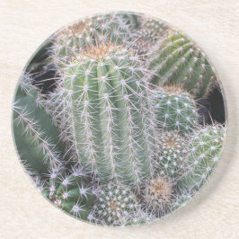 Cacti-onderzetters Zandsteen Onderzetter