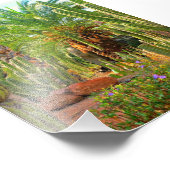 Cacti, Palms en Flowers - Foto's (5 x 7) Foto Afdruk (Hoek)