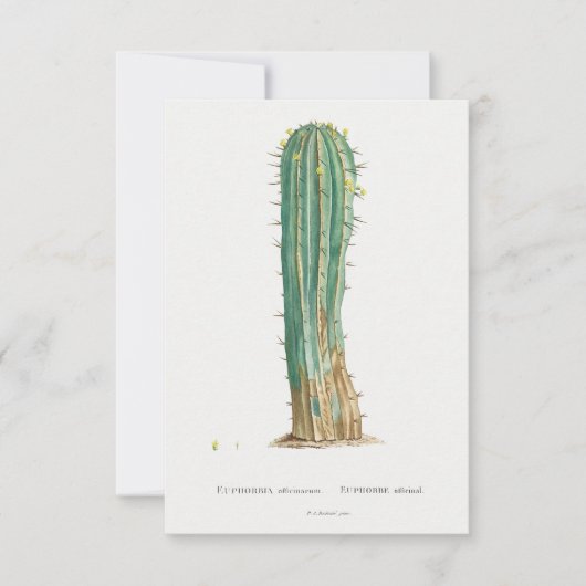 Cacti plant  illustratie (Voorkant)