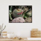 Cacti Poster (Keuken)