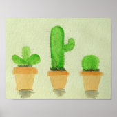 Cacti Poster (Voorkant)