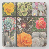 Cacti Roos Bloemen Fotografie Collage Modern Bold
