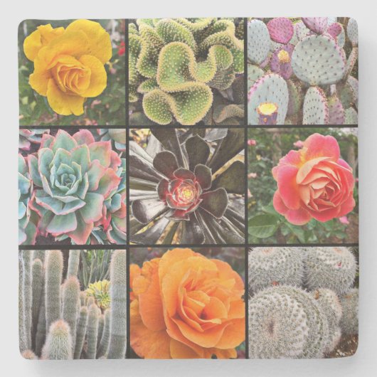Cacti Roos Bloemen Fotografie Collage Modern Bold Stenen Onderzetter (Voorkant)