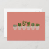 Cacti & Succulent - roze Briefkaart (Voorkant / Achterkant)