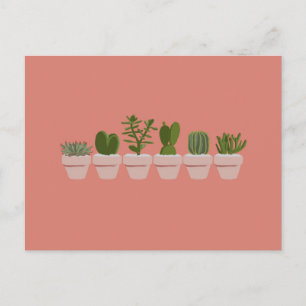 Cacti & Succulent - roze Briefkaart