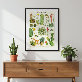 Cacti Succulenten Wetenschappelijke Grafiek Poster