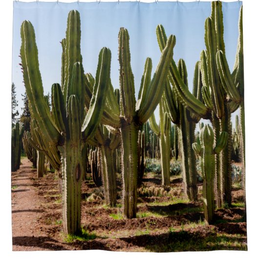 Cacti tuin. Groene hoge cactussen en succulturen g Douchegordijn (Voorkant)