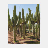 Cacti tuin. Groene hoge cactussen en succulturen g Fleece Deken (Voorkant)