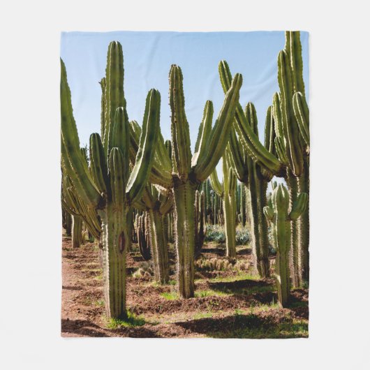 Cacti tuin. Groene hoge cactussen en succulturen g Fleece Deken (Voorkant)