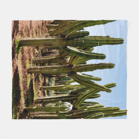Cacti tuin. Groene hoge cactussen en succulturen g Fleece Deken (Voorkant (Horizontaal))