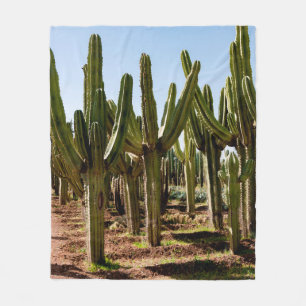 Cacti tuin. Groene hoge cactussen en succulturen g Fleece Deken