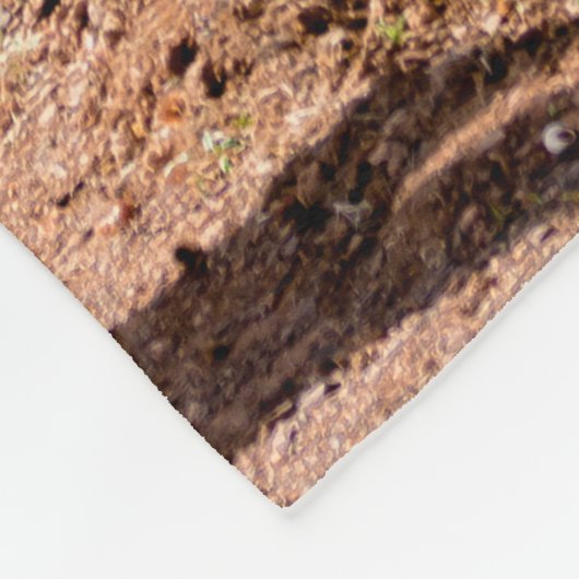 Cacti tuin. Groene hoge cactussen en succulturen g Fleece Deken (Hoek)