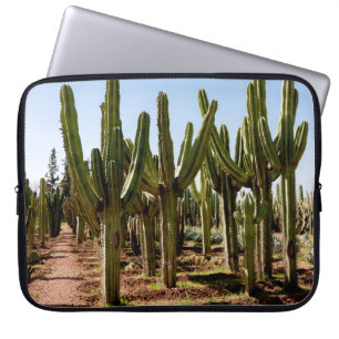 Cacti tuin. Groene hoge cactussen en succulturen g Laptop Sleeve