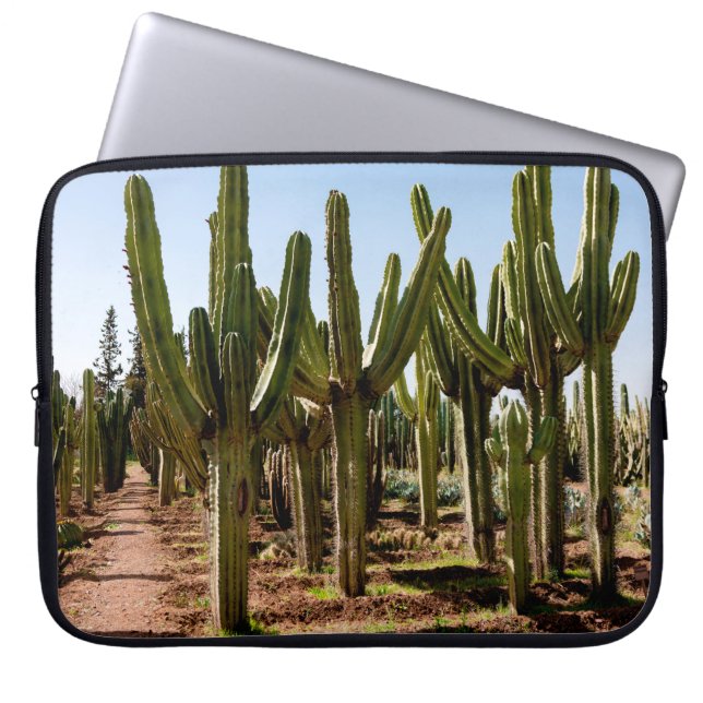 Cacti tuin. Groene hoge cactussen en succulturen g Laptop Sleeve (Voorkant)