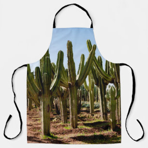 Cacti tuin. Groene hoge cactussen en succulturen g Schort