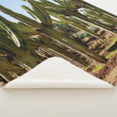 Cacti tuin. Groene hoge cactussen en succulturen g Sherpa Deken (3/4)