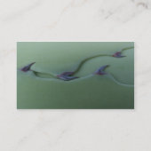 Cacti-Visitekaartje Visitekaartje (Achterkant)