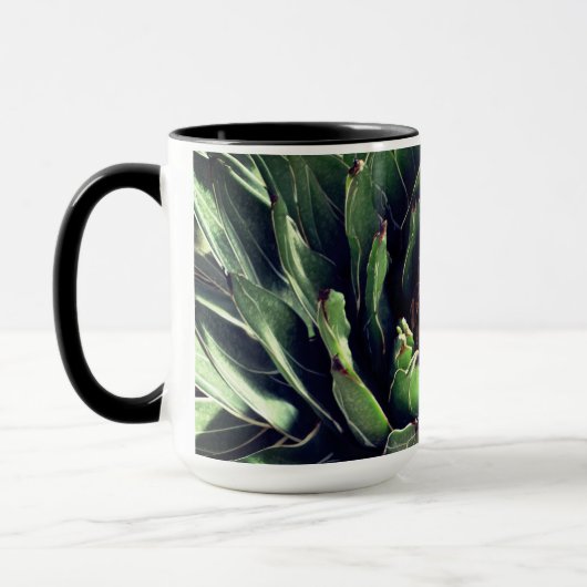 Cacti's, Cactus-Planten Mok (Links)