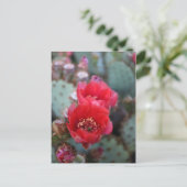 Cactuons Flowers Deep Pink Blooms Briefkaart (Staand voorkant)