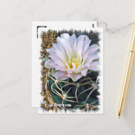 Cactus ポストカード briefkaart