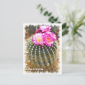 Cactus ポストカード briefkaart (Staand voorkant)